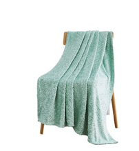 Kate Aurora Floral Ferns Shabby Chic Styled Oversized Ultra Soft & Plush Accent Throw Blanket - Aqua