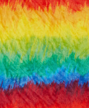 Kate Aurora Rainbow Ultra Soft & Plush Oversized Accent Throw Blanket - 50 in. W x 70 in. L