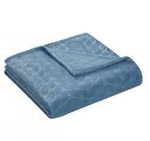 Kate Aurora Pastel Chic Embossed Leaves Ultra Plush Accent Throw Blanket - 50 in. W x 60 in. L - Blue