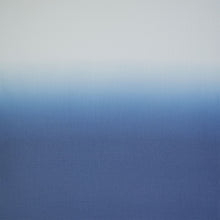 Kate Aurora Tropical Living Semi Matte Sheer Ombre Chic Grommet Top Window Curtains - 52 in. W x 84 in. L, Blue