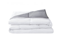 Kate Aurora Living Goose Down Alternative Bed in a Bag Complete Comforter Set - King, White/Gray